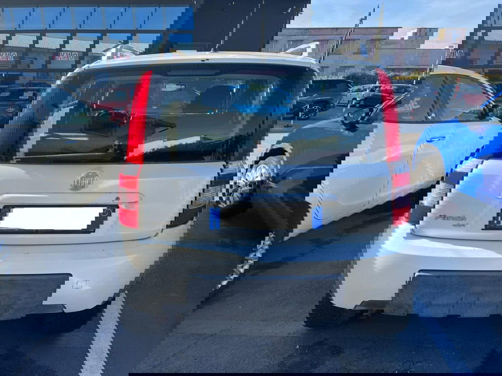 Fiat Panda usata a Lucca (5)