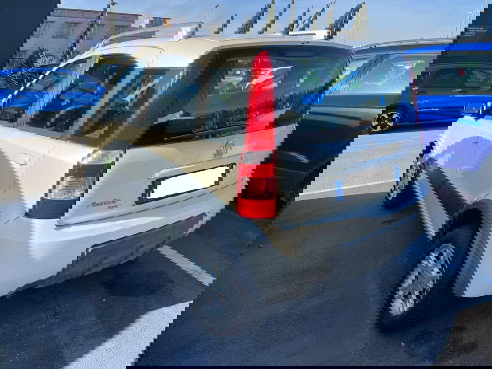 Fiat Panda usata a Lucca (6)