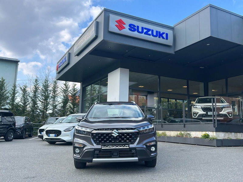 Suzuki S-Cross usata a Vercelli (2)