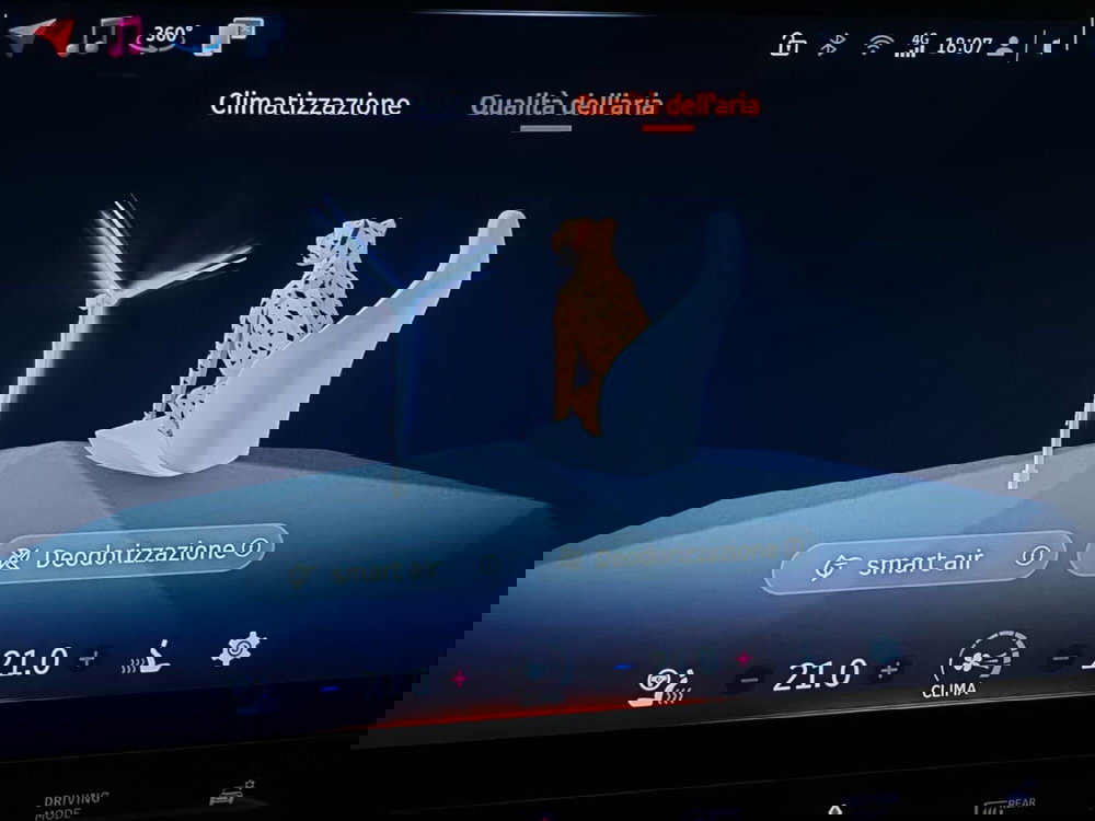 smart #1 usata a Verbano Cusio Ossola (13)