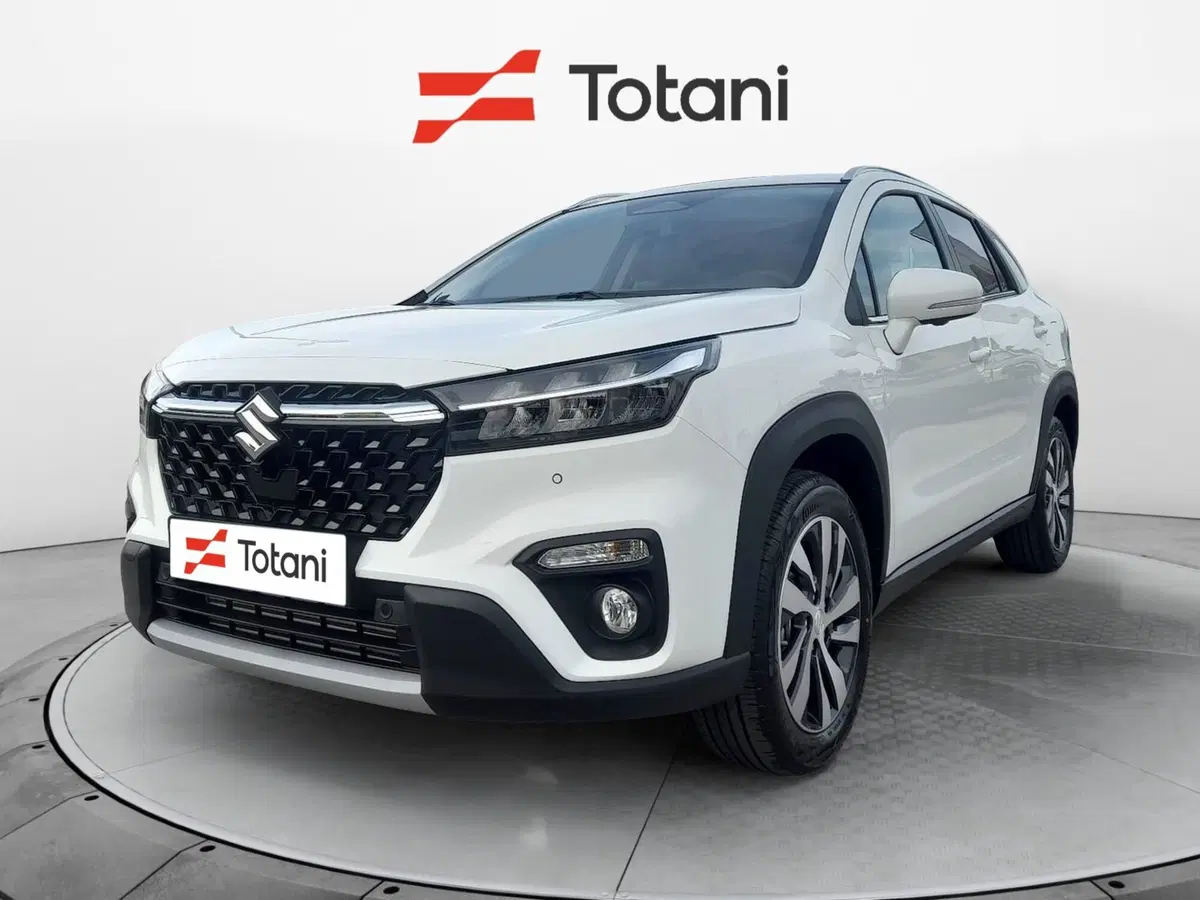 Suzuki S-Cross usata a Chieti