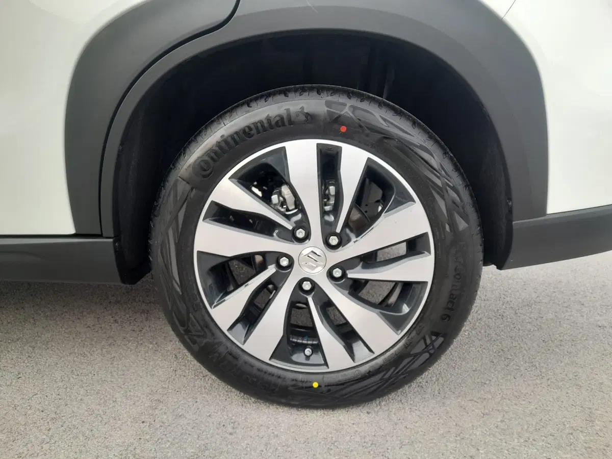 Suzuki S-Cross usata a Chieti (14)
