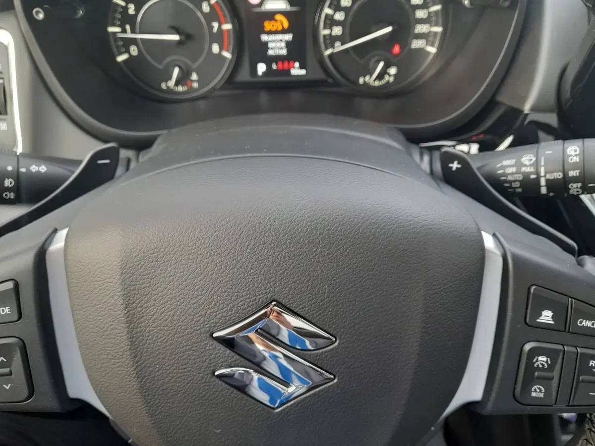 Suzuki S-Cross usata a Chieti (9)