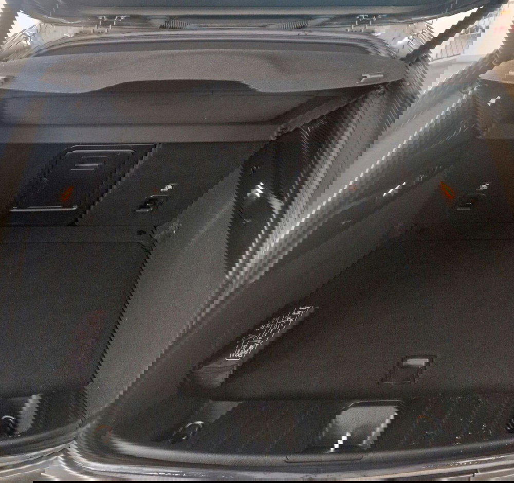 Alfa Romeo Tonale usata a Terni (10)