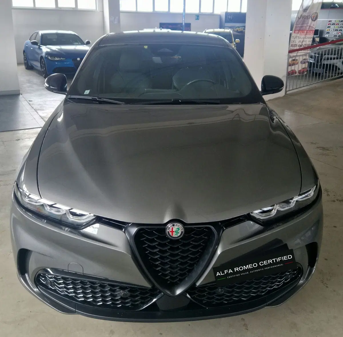 Alfa Romeo Tonale usata a Terni (2)