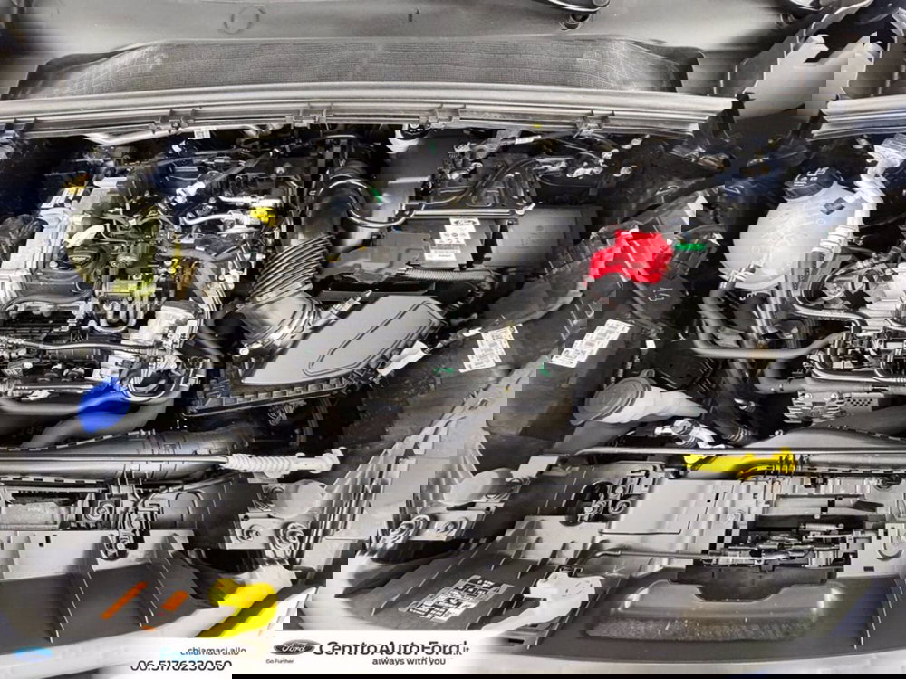 Ford Puma usata a Roma (12)