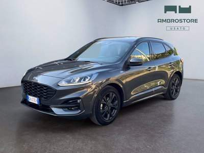 Ford Kuga 1.5 EcoBlue 120 CV 2WD ST-Line del 2022 usata a Segrate