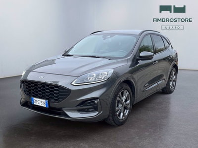 Ford Kuga 2.0 EcoBlue 120 CV aut. 2WD ST-Line X del 2023 usata a Milano