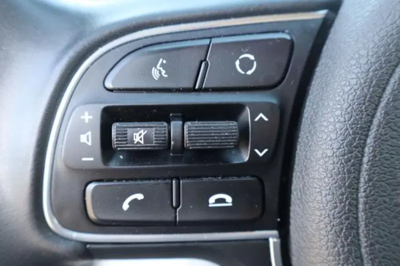 Kia Niro usata a Gorizia (12)