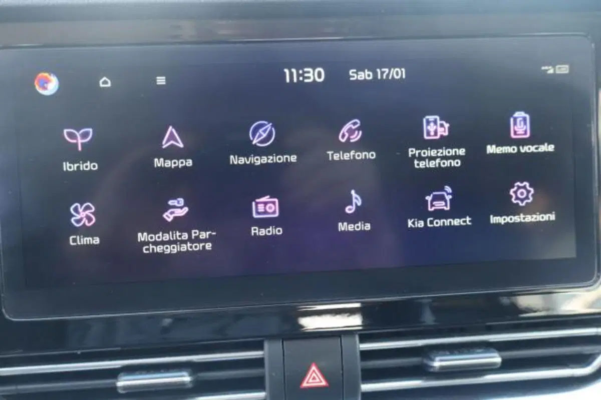 Kia Niro usata a Gorizia (16)