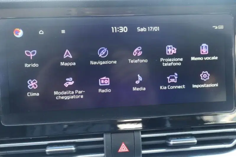 Kia Niro usata a Gorizia (16)