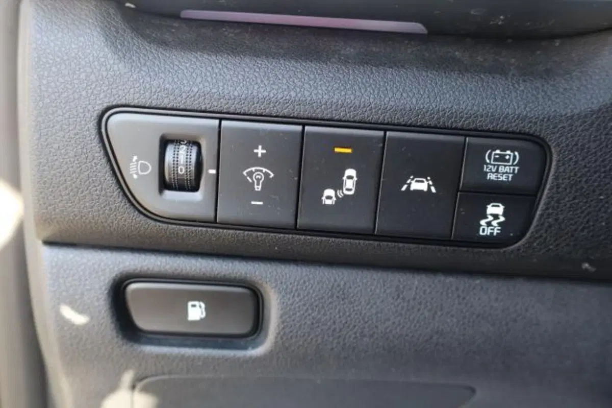 Kia Niro usata a Gorizia (19)