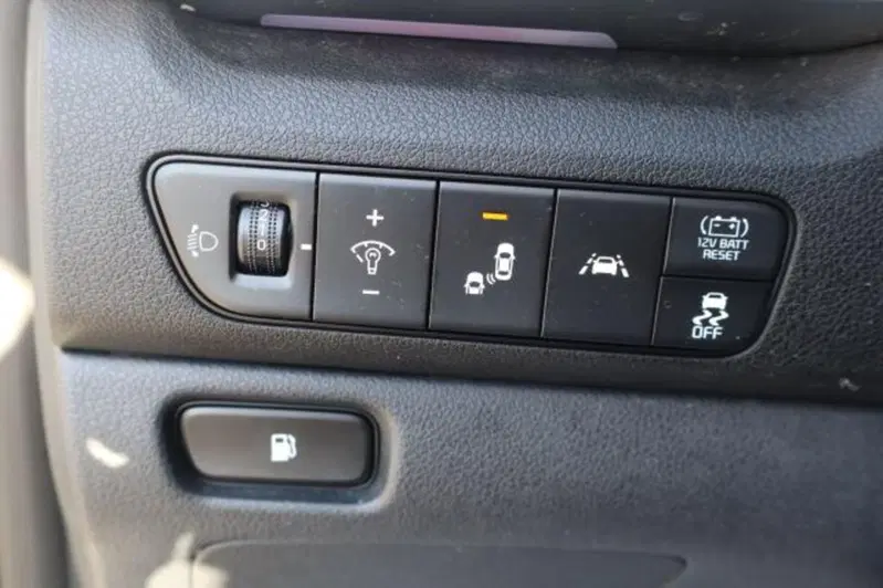 Kia Niro usata a Gorizia (19)