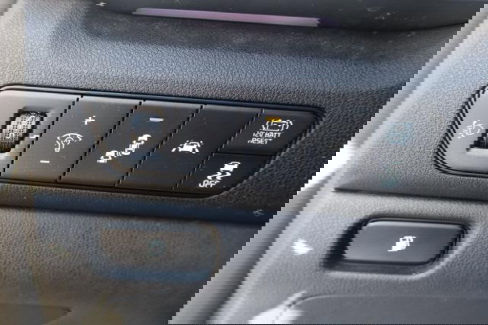 Kia Niro usata a Gorizia (19)