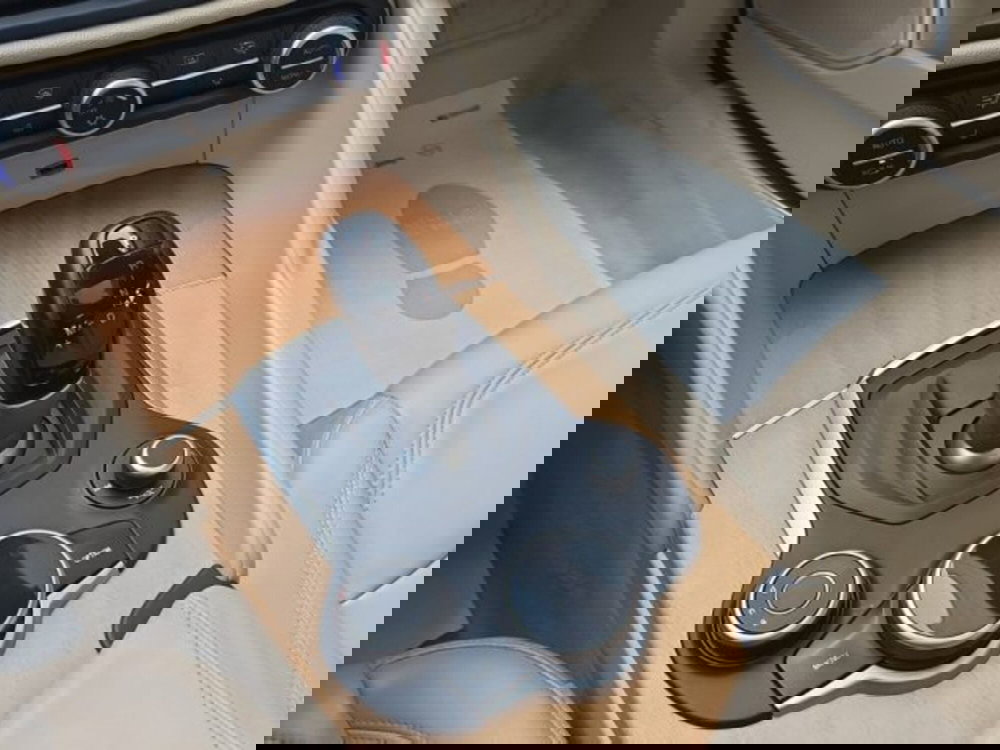 Alfa Romeo Giulia usata a Monza e Brianza (17)