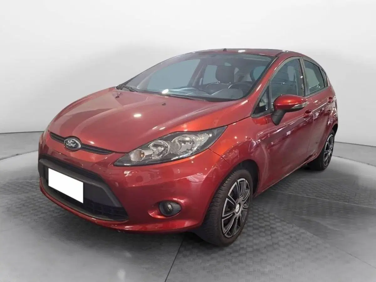 Ford Fiesta usata a Torino
