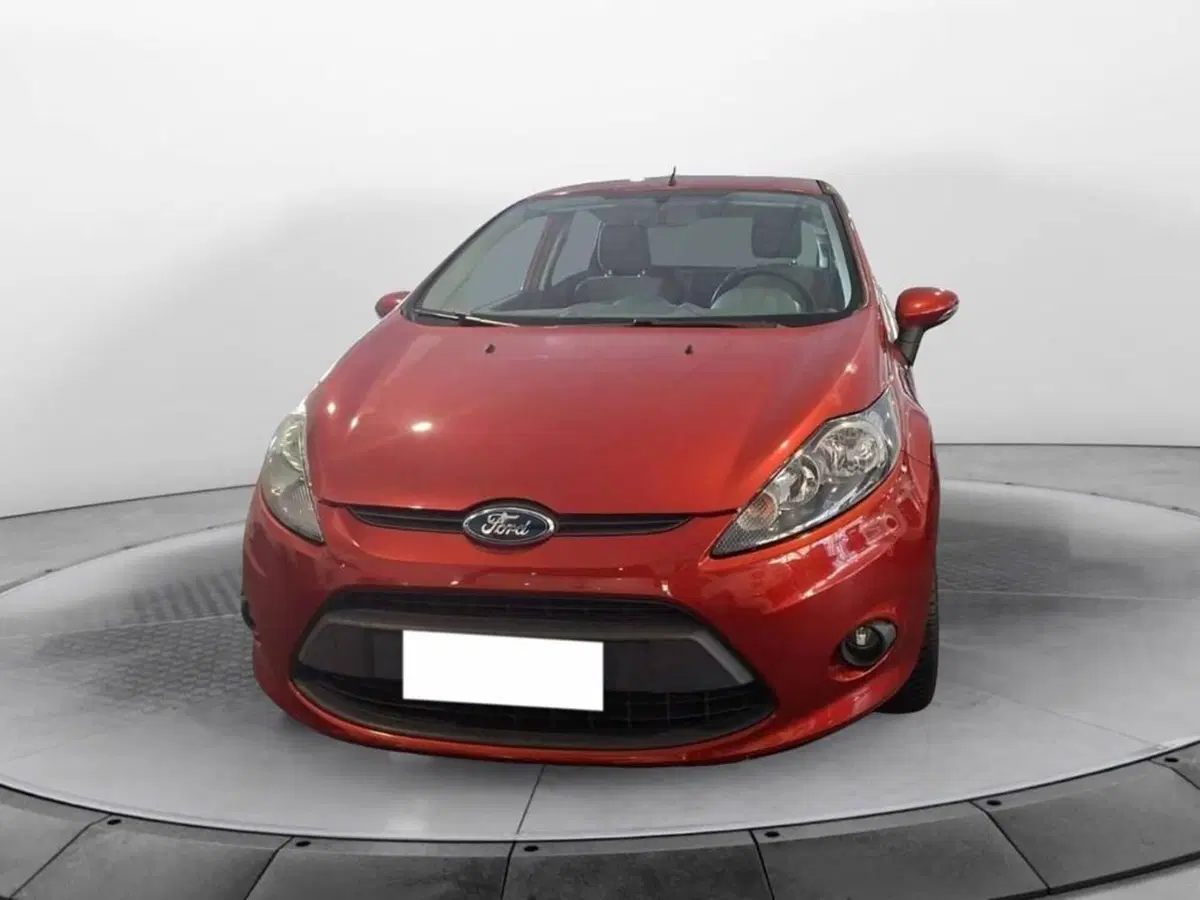 Ford Fiesta usata a Torino (2)