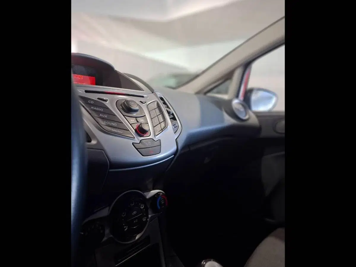 Ford Fiesta usata a Torino (8)