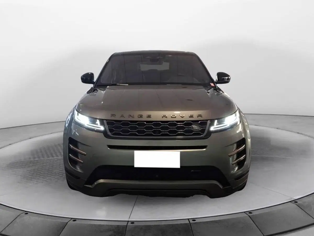 Land Rover Range Rover Evoque usata a Torino (2)