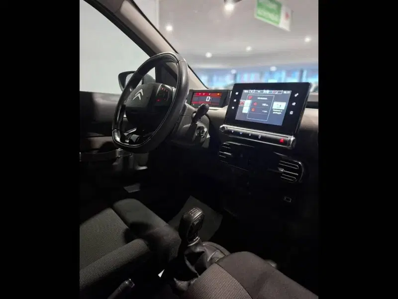 Citroen C4 Cactus usata a Torino (10)