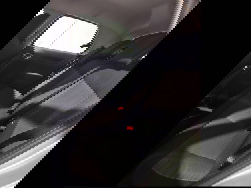 Citroen C4 Cactus usata a Torino (15)