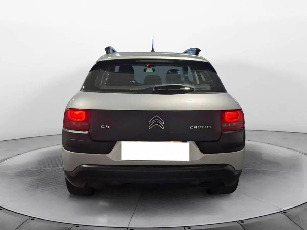 Citroen C4 Cactus usata a Torino (5)