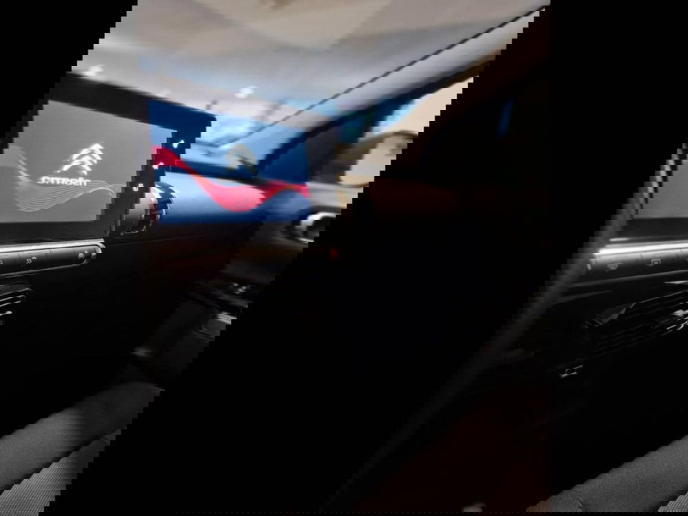 Citroen C4 Cactus usata a Torino (8)