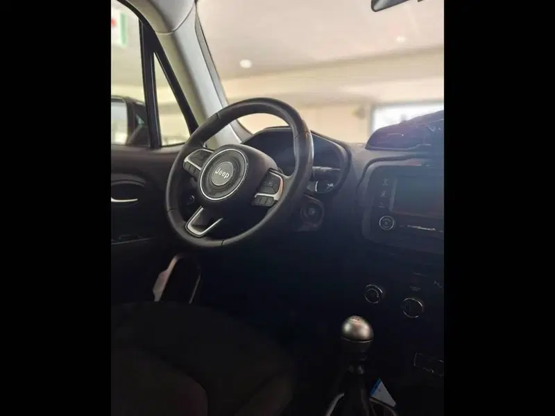 Jeep Renegade usata a Torino (10)