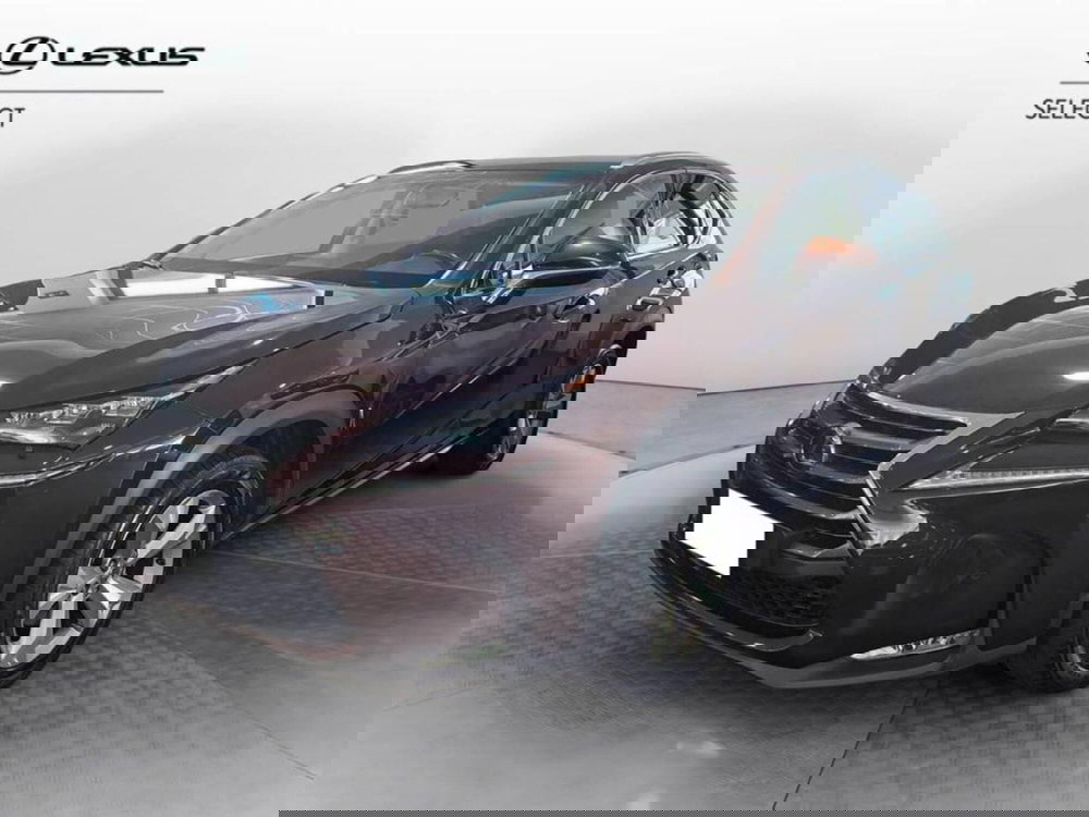Lexus NX usata a Torino