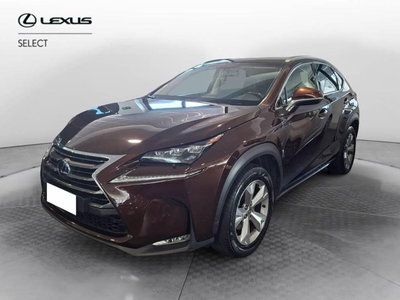 Lexus NX Hybrid 4WD Luxury del 2018 usata a Torino