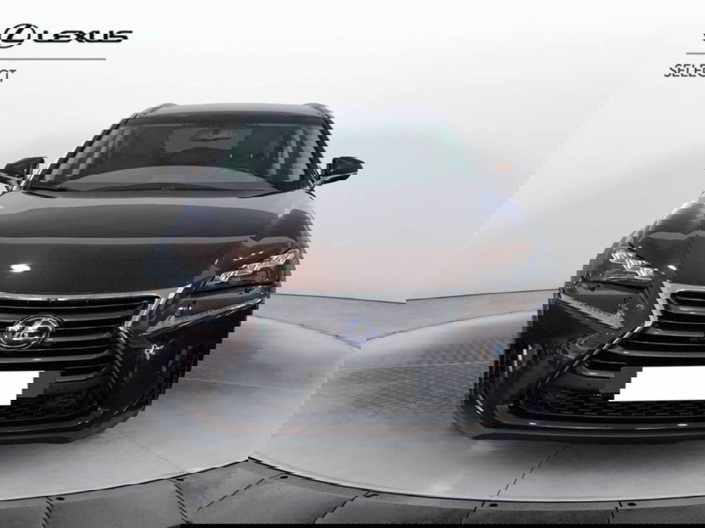 Lexus NX usata a Torino (2)