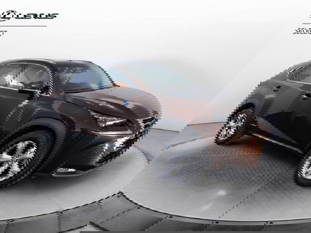 Lexus NX usata a Torino (3)