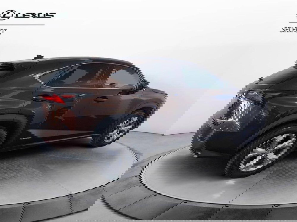 Lexus NX usata a Torino (4)