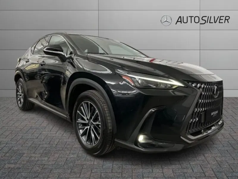 Lexus NX usata a Verona