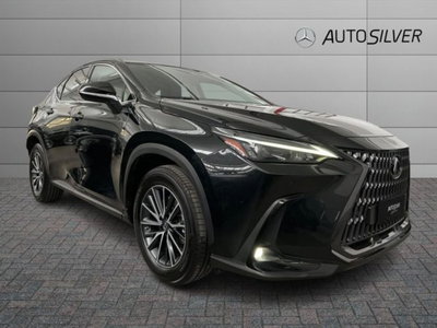 Lexus NX Plug-in 4WD Premium del 2023 usata a Verona