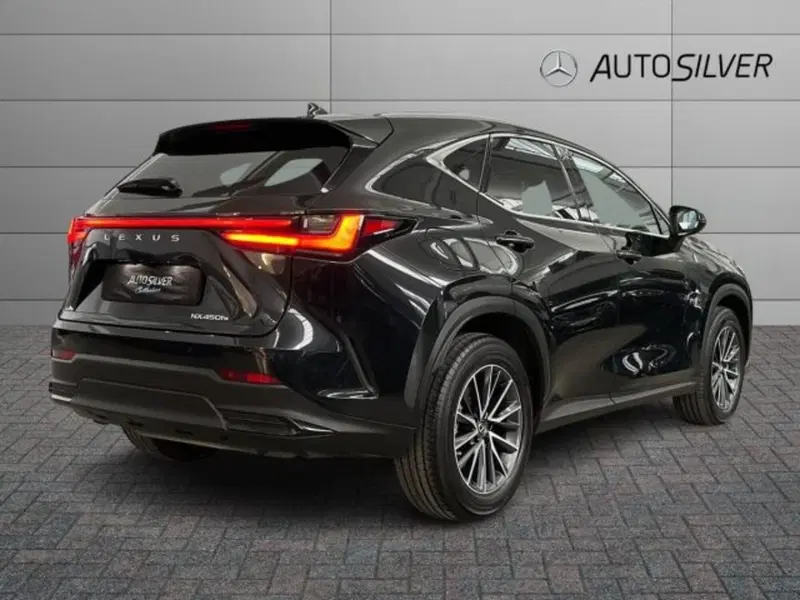 Lexus NX usata a Verona (2)
