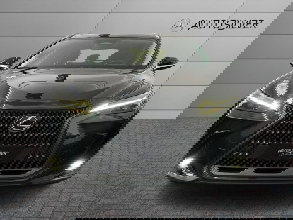 Lexus NX usata a Verona (3)