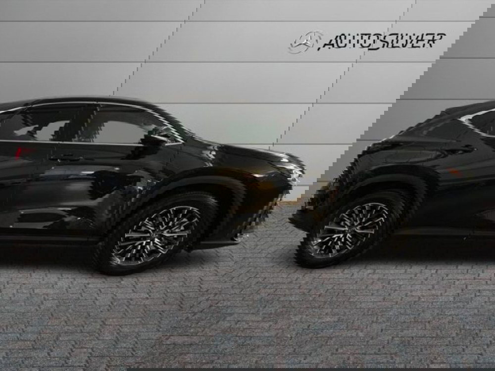 Lexus NX usata a Verona (5)