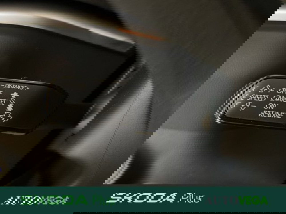 Skoda Karoq usata a Vicenza (16)