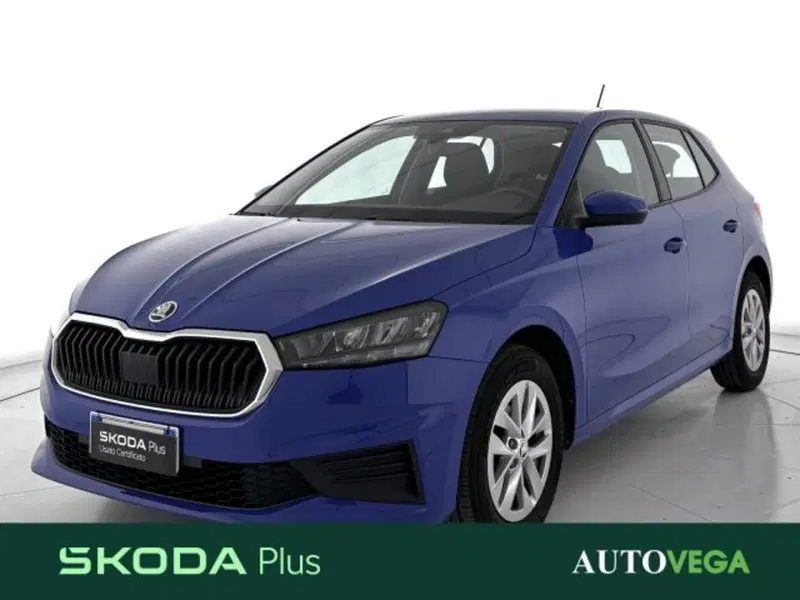 Skoda Fabia usata a Vicenza