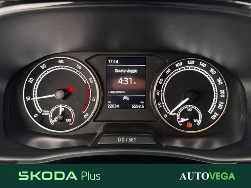 Skoda Fabia usata a Vicenza (12)