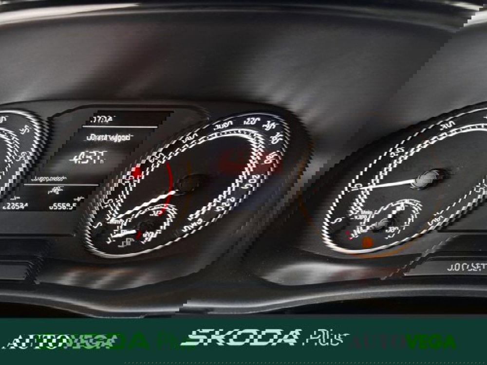 Skoda Fabia usata a Vicenza (12)