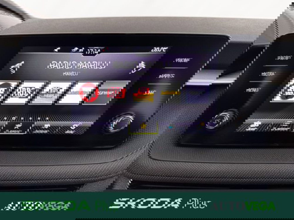 Skoda Fabia usata a Vicenza (13)