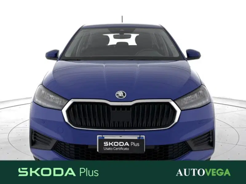 Skoda Fabia usata a Vicenza (2)