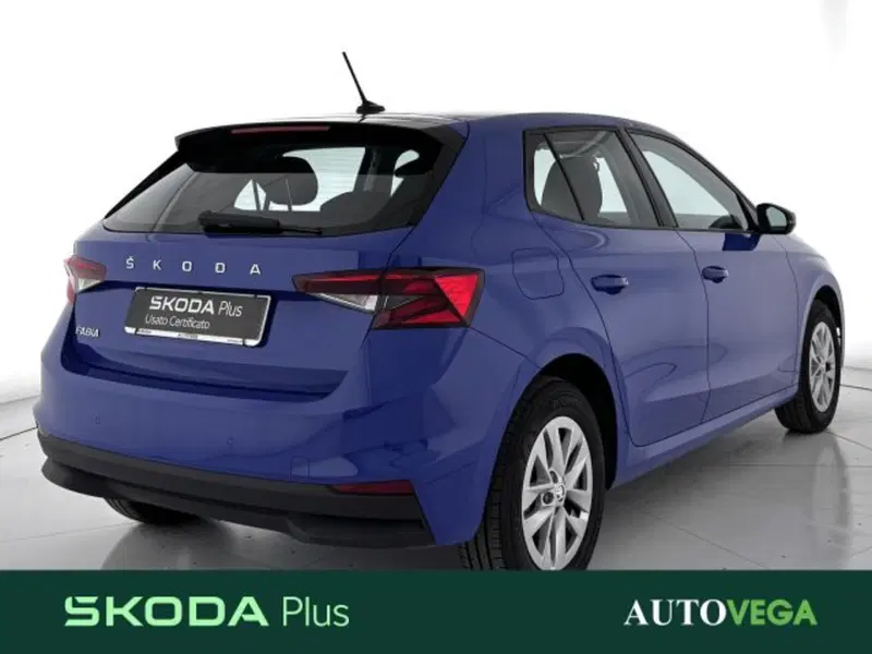 Skoda Fabia usata a Vicenza (3)