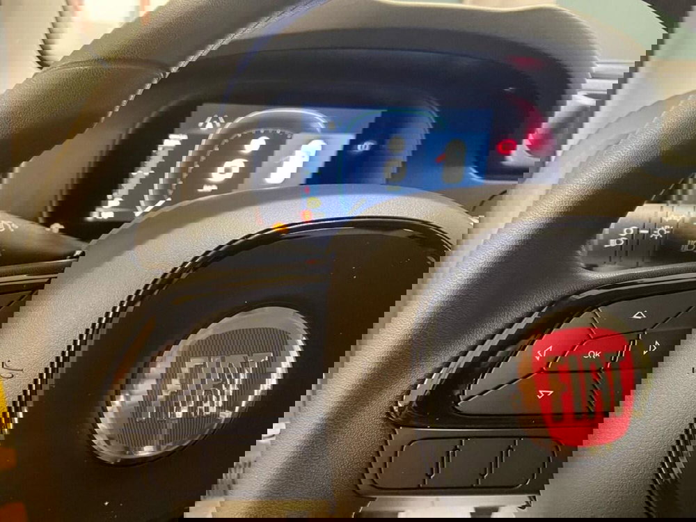 Fiat Panda Cross nuova a Torino (11)