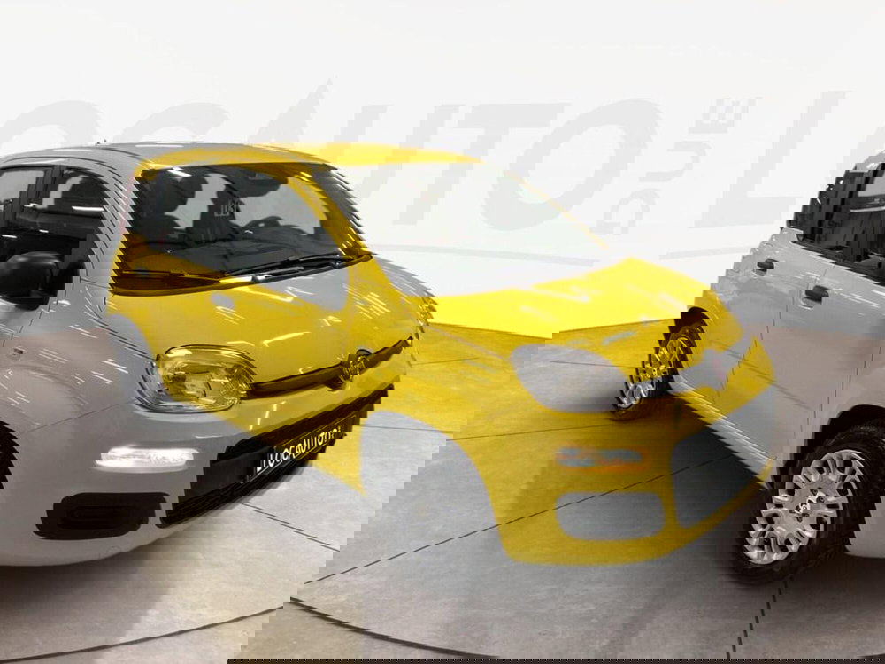 Fiat Panda Cross nuova a Torino (3)