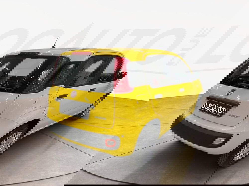 Fiat Panda Cross nuova a Torino (4)