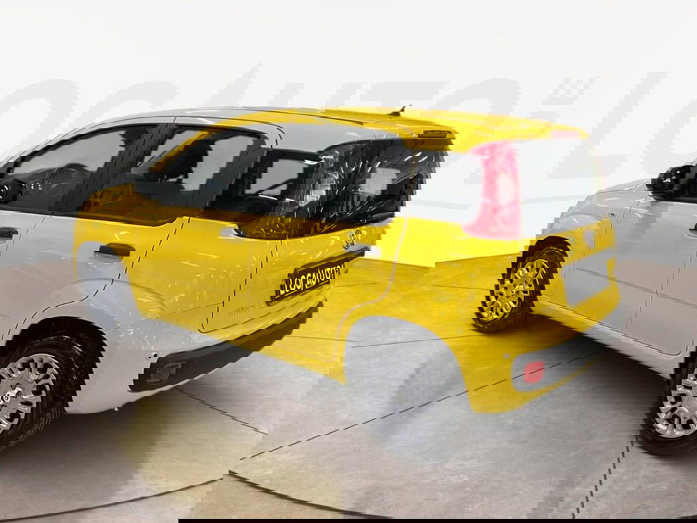 Fiat Panda Cross nuova a Torino (5)