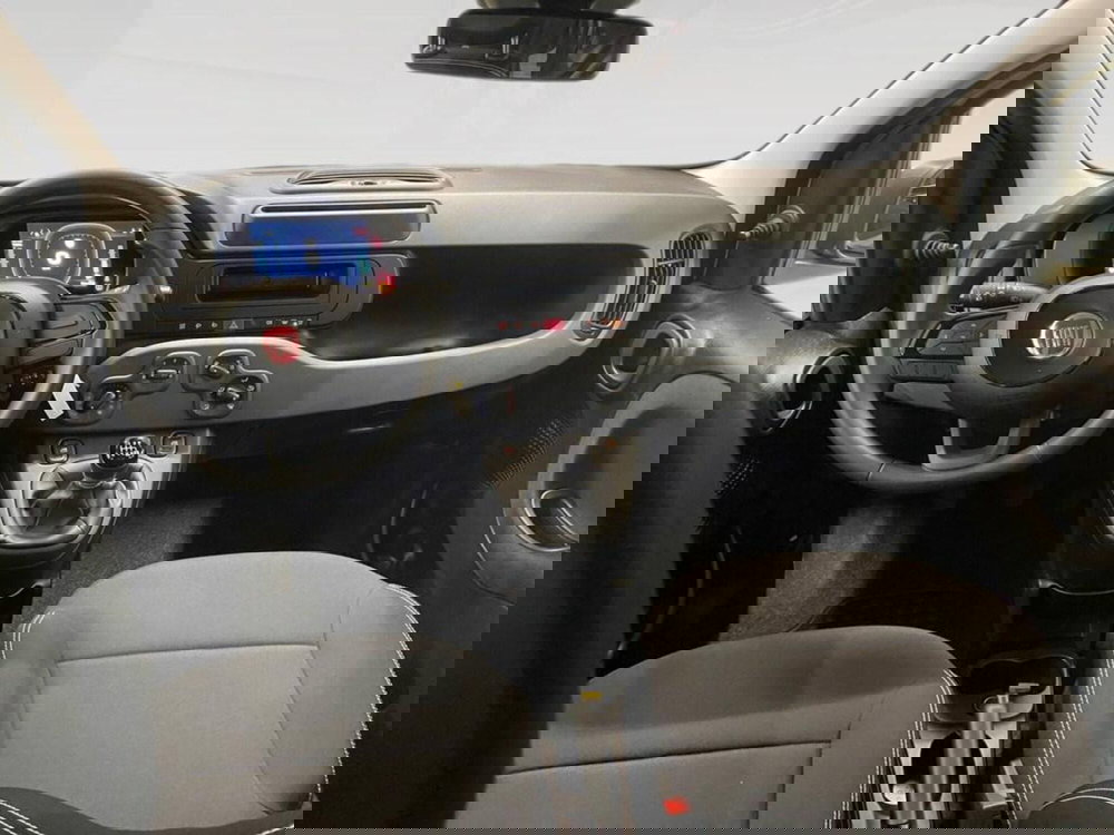 Fiat Panda Cross nuova a Torino (6)